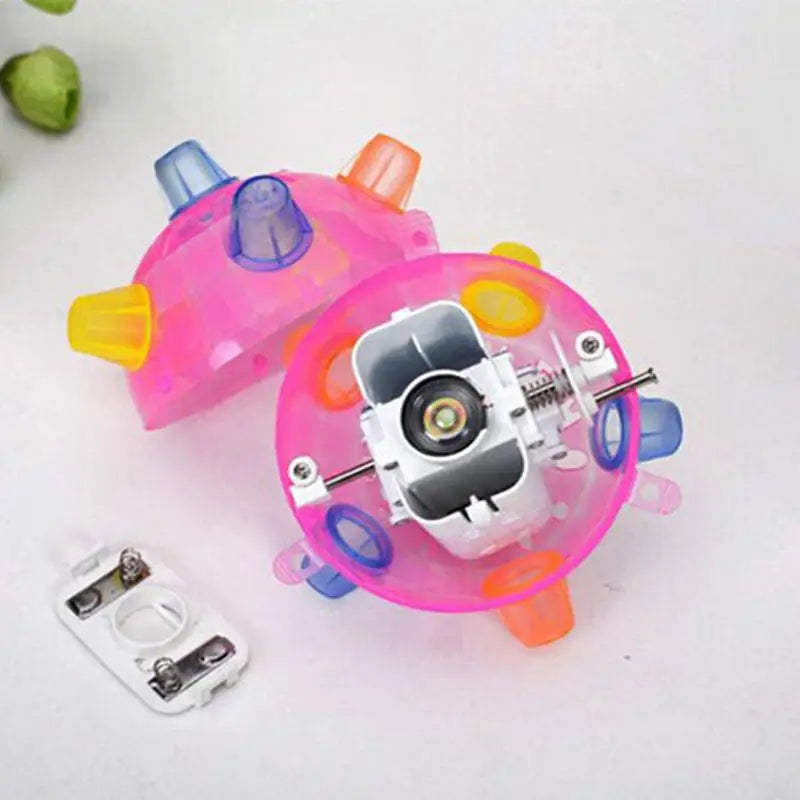 Luminous Flashing Ball Toy For Dogs and Cats